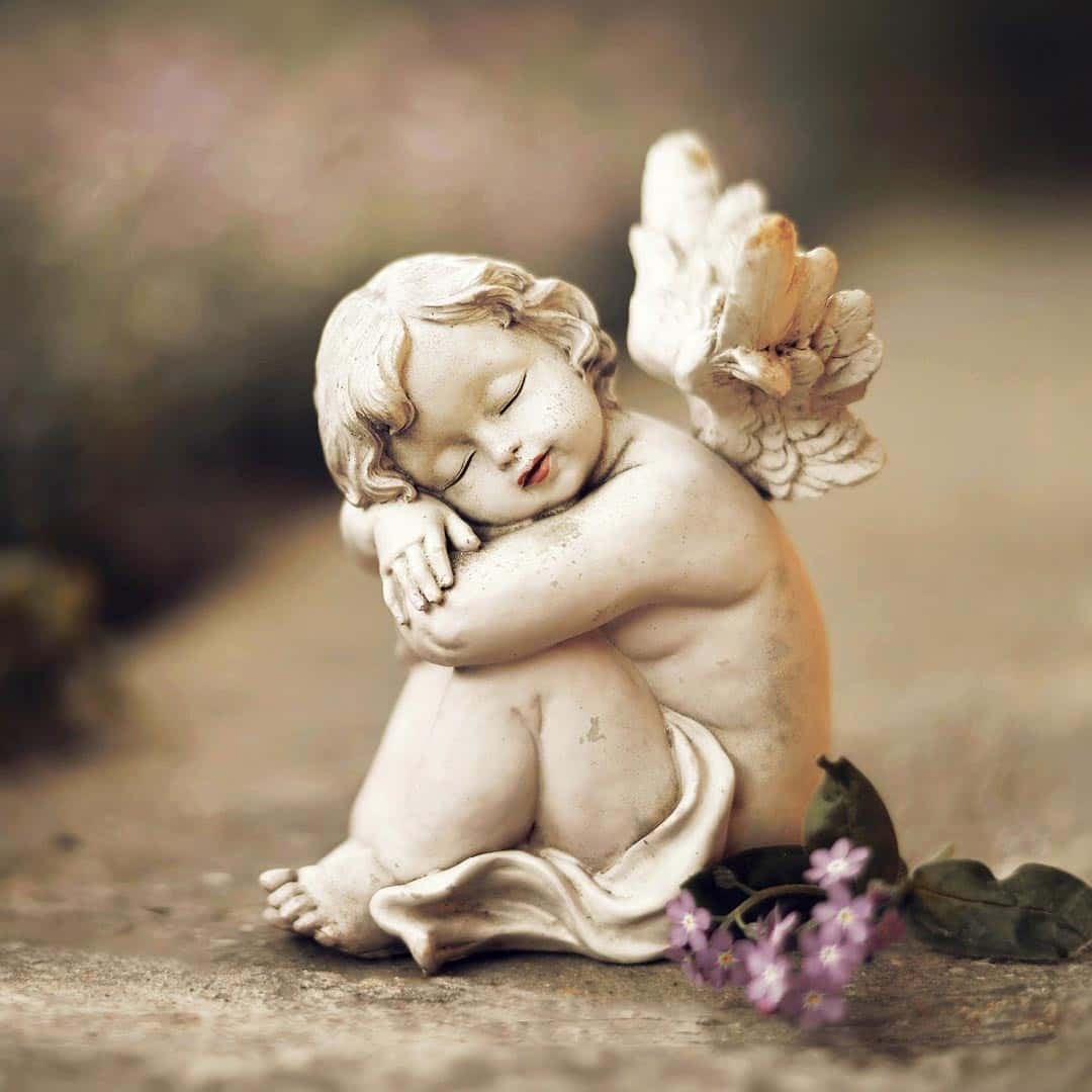 Etikett Nachfüllung für Hofer Natur Glaslaterne Brilliant 2er, ENGEL