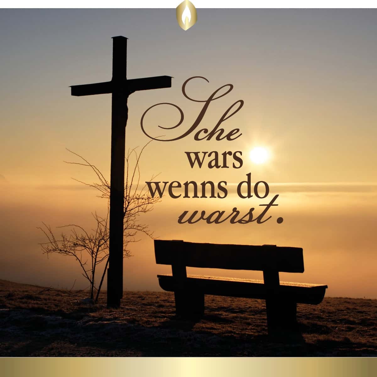 Etikett Hofer Premium 7 Tage Motivlicht SCHE WARS WENNS DO WARST, transparent