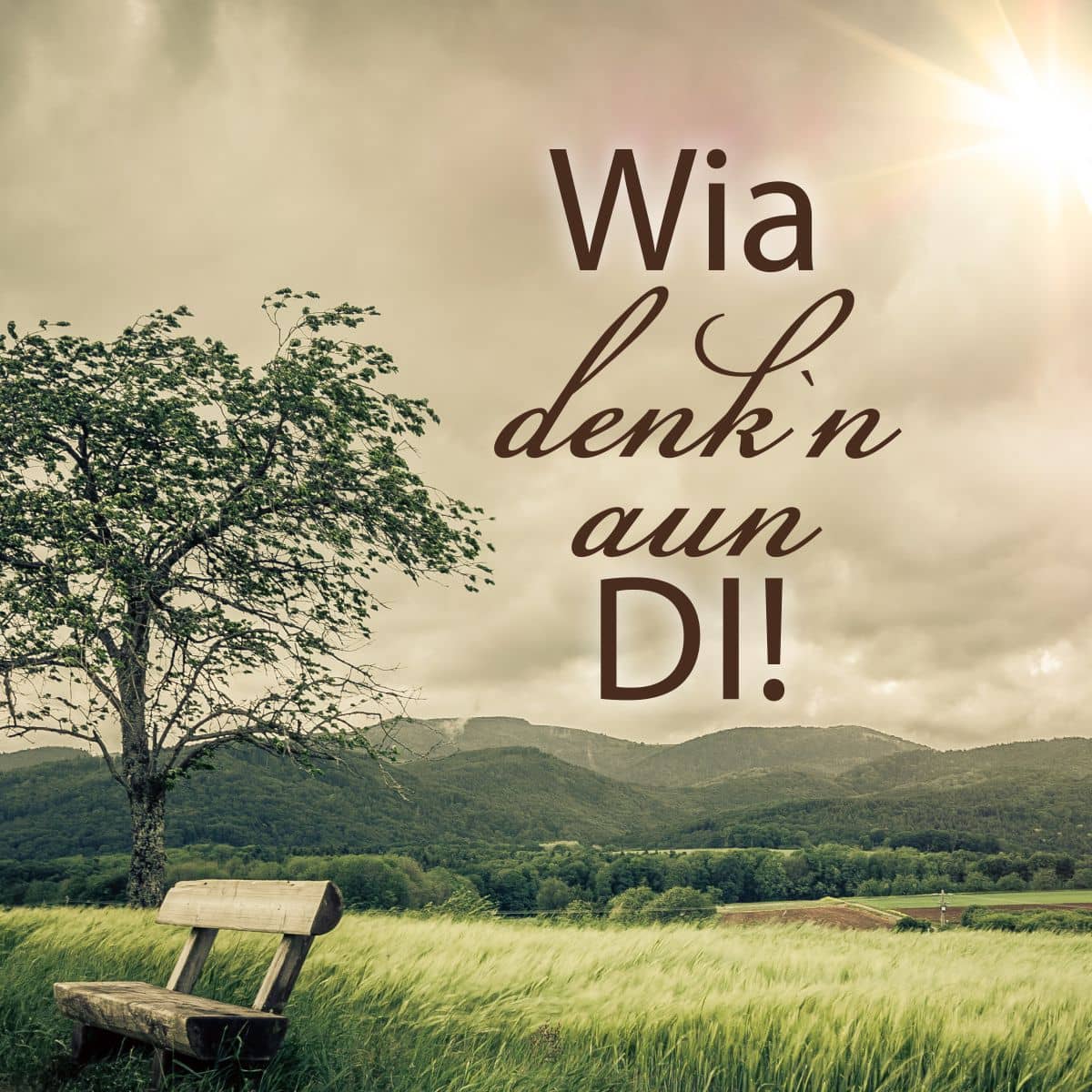 Motiv Bank und Baum auf Wiese mit Text "Wia denk`n aun di!"